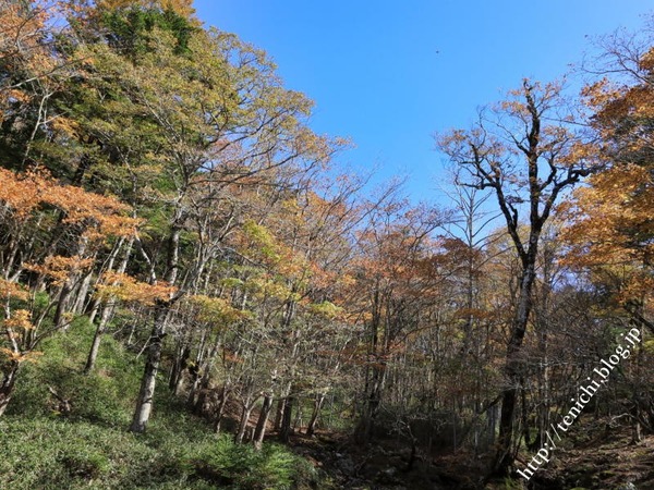 10_28_22(1)