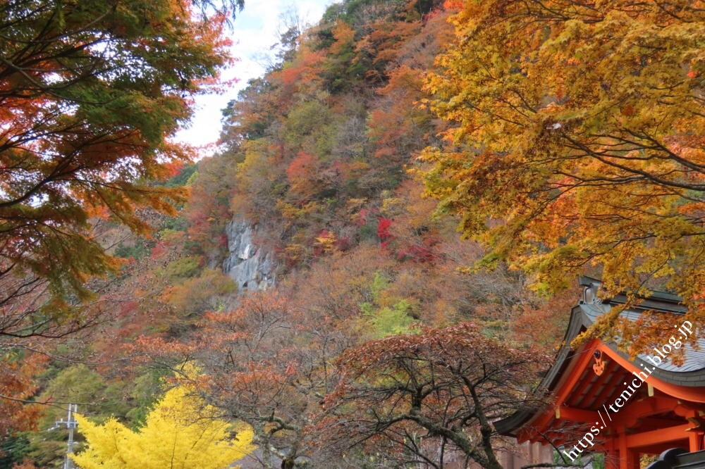 国道309号線紅葉ドライブ : GOOD LUCK