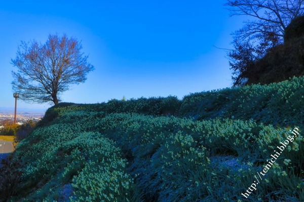 01_04_06(1)