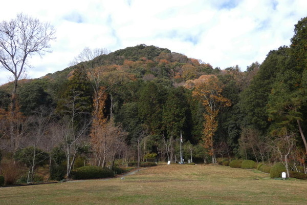 12_11_69(1)