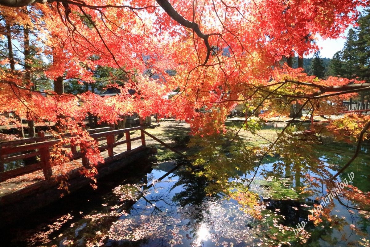 洞川温泉龍泉寺の紅葉 Good Luck 洞川温泉龍泉寺の紅葉 Good Luck