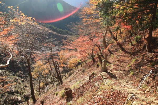 11_13_03(1)
