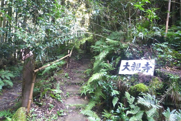 10_08_11(1)