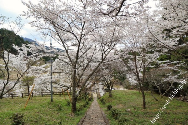 04_10_11(1)