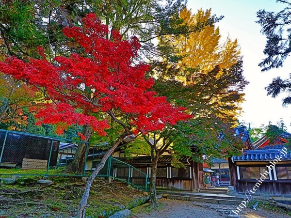 11_16_13(1)