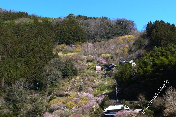 04_03_04(1)