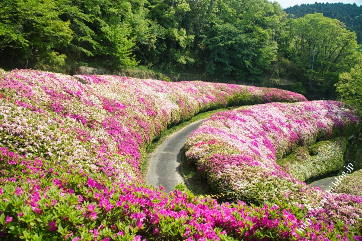 なるかわの園地 自転車