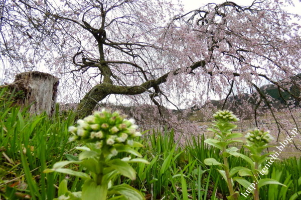 04_01_11(1)