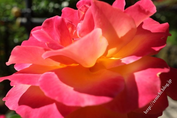 05_19_34(1)