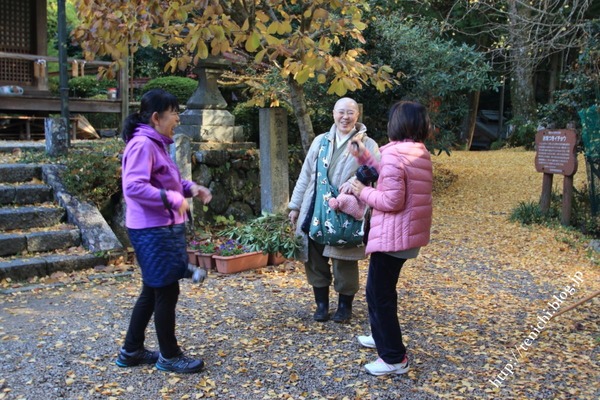 尼寺 放送 やまと 再 やまと尼寺の精進日記・如月冬ごもりの楽しみ（奈良・音羽山観音寺）NHK