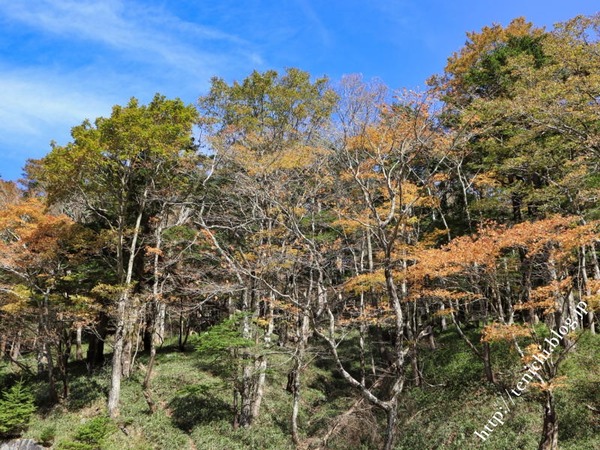 10_28_23(1)