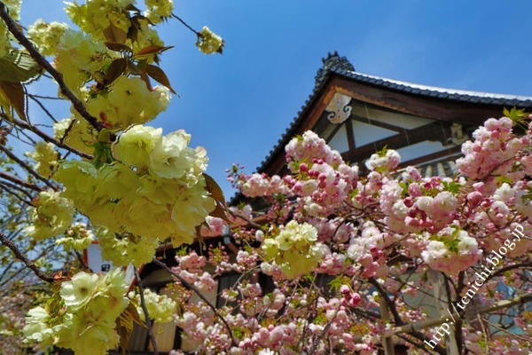04_18_11(1)