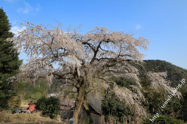 IMG_9026(1)