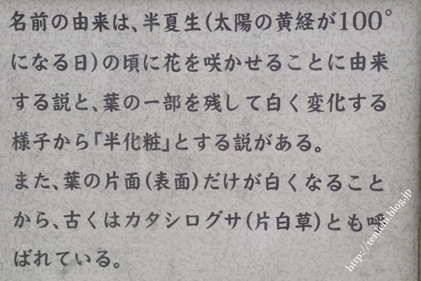 07_06_10(1)