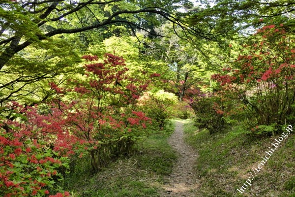 05_10_13(1)