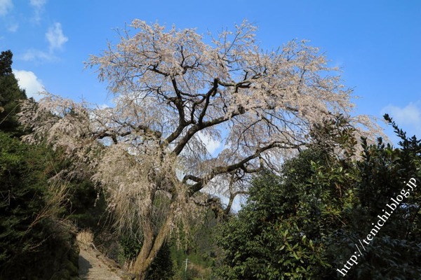 IMG_9028(1)