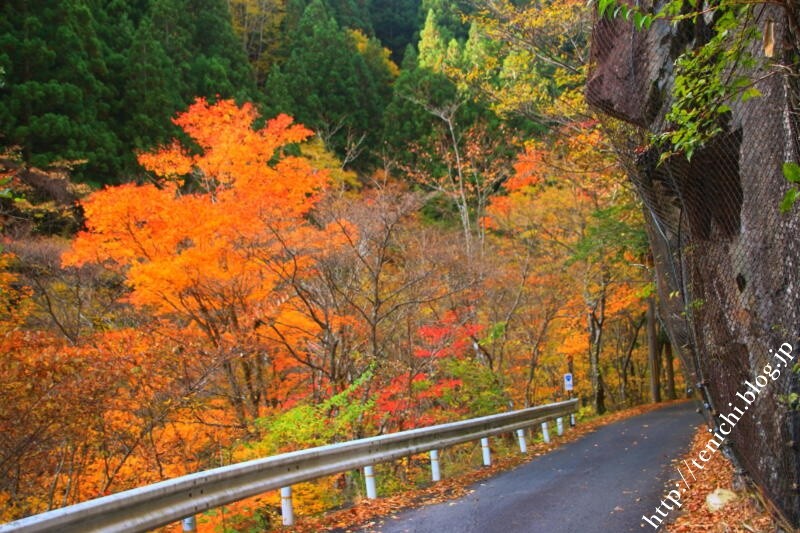 R309行者還トンネルを抜けて天川村の紅葉 Good Luck
