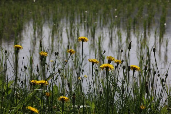 06_05_06