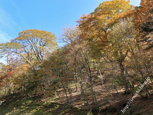 10_28_28(1)