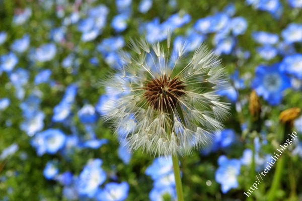05_08_17(1)