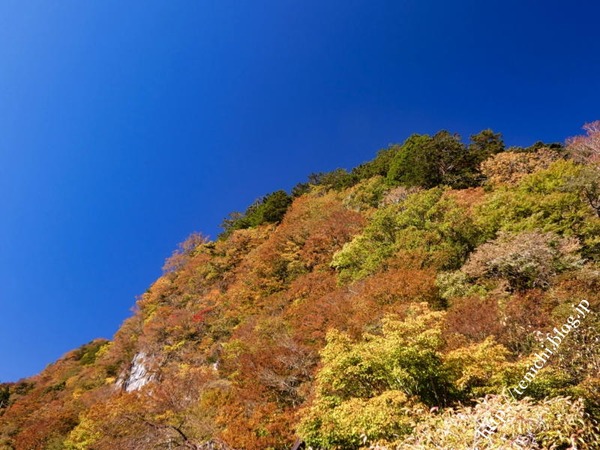 11_05_45(1)