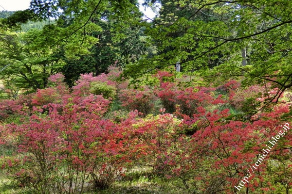05_10_09(1)
