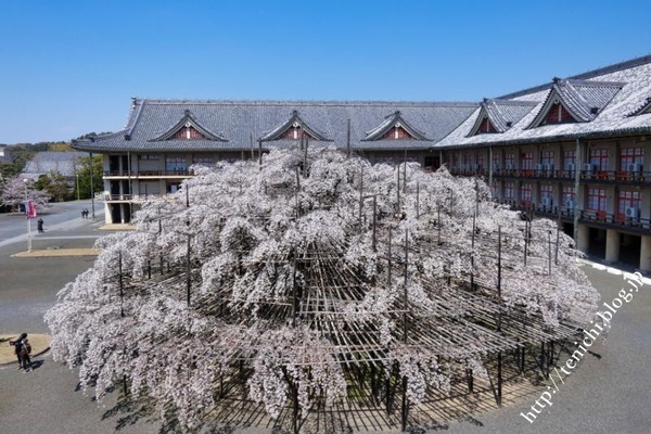 04_03_31(1)