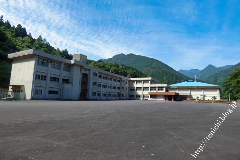 山の中のマーガレット畑 Good Luck 山の中のマーガレット畑 Good Luck