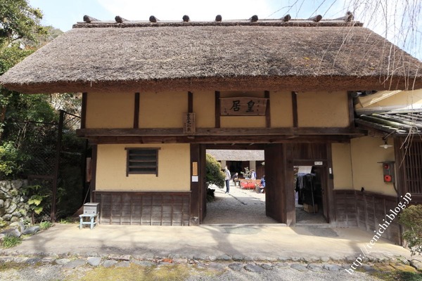 03_03_41(1)