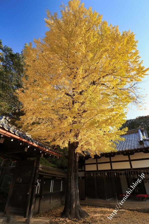 11_16_11(1)
