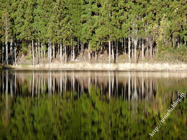 11_29_22(1)