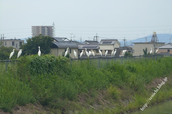 08_28_06(1)