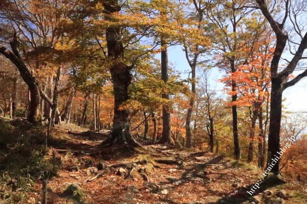 10_26_79(1)