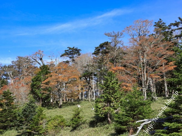 10_28_20(1)