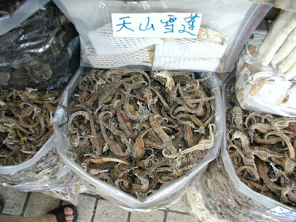 広州06