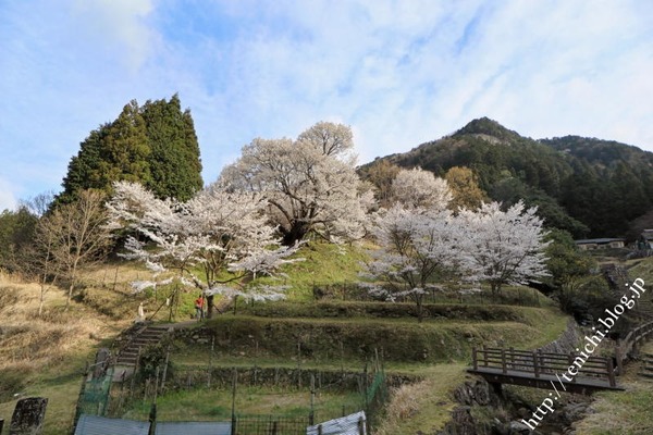 04_10_04(1)