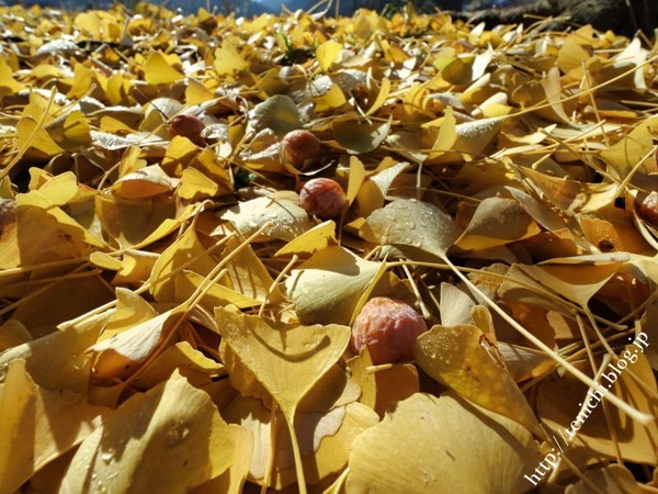 11_29_29(1)