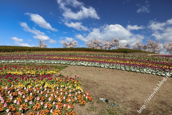 04_09_11(1)