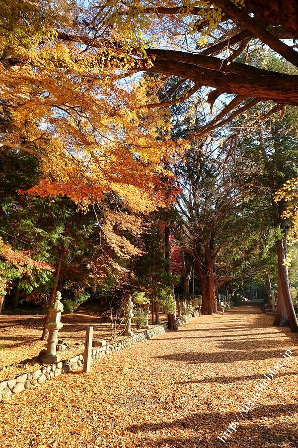 12_09_13(1)