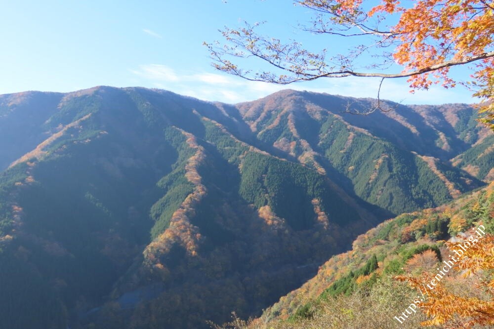 国道309号線紅葉ドライブ : GOOD LUCK