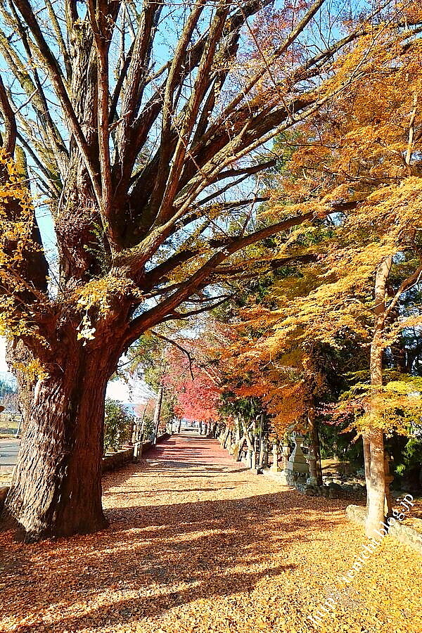 12_09_11(1)