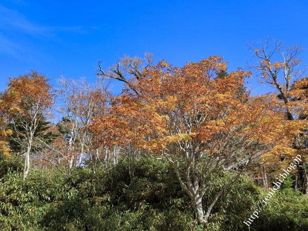 10_28_21(1)