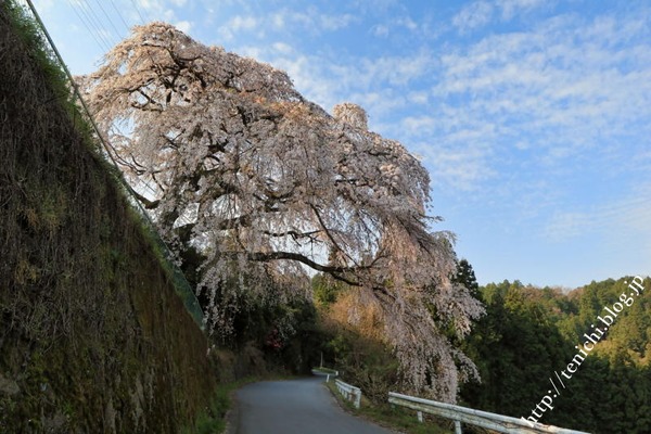 IMG_8984(1)
