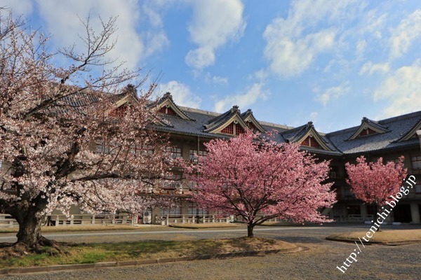 04_03_13(1)