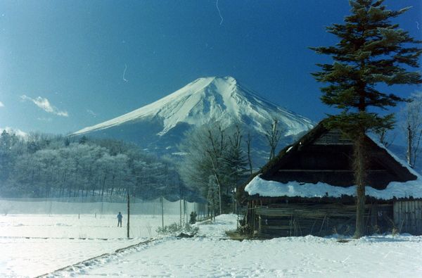 富士山