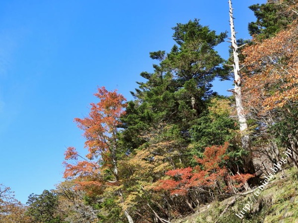 10_28_29(1)