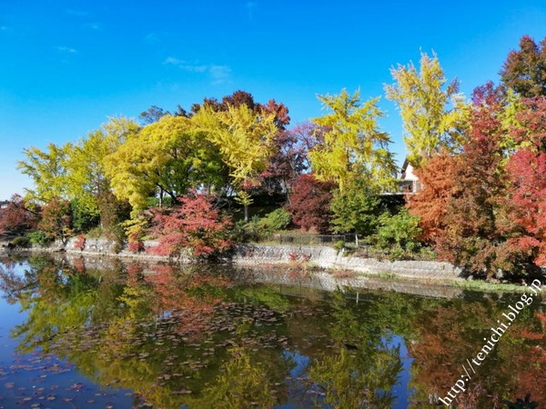 11_21_11(1)