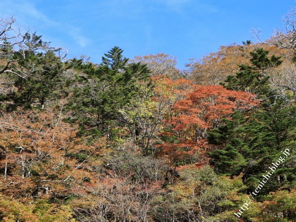 10_28_25(1)