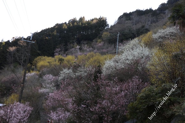 04_03_14(1)