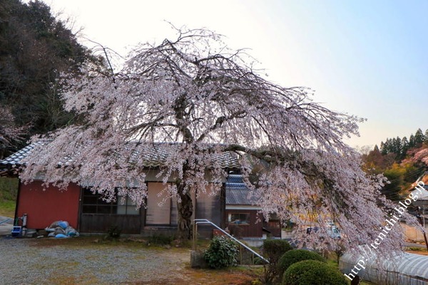 04_08_11(1)
